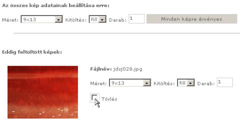 Felt�lt�tt f�jlok list�ja