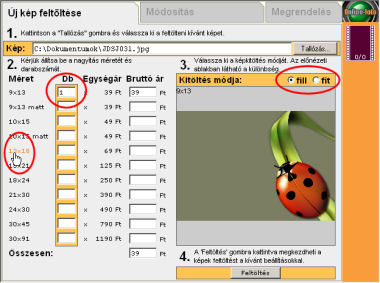 A felt�lt�s el�tt kit�ltend� mez�k